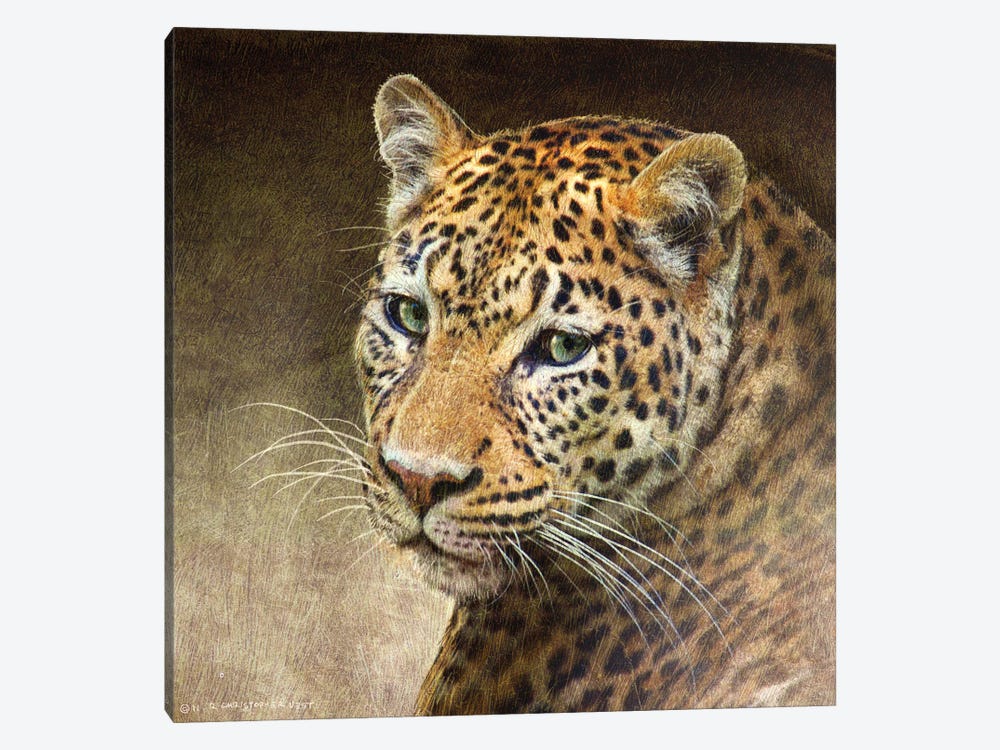 Leopard by Christopher Vest 1-piece Canvas Artwork