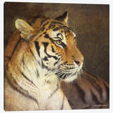 Tiger Canvas Print #CHV17} by Christopher Vest Canvas Artwork