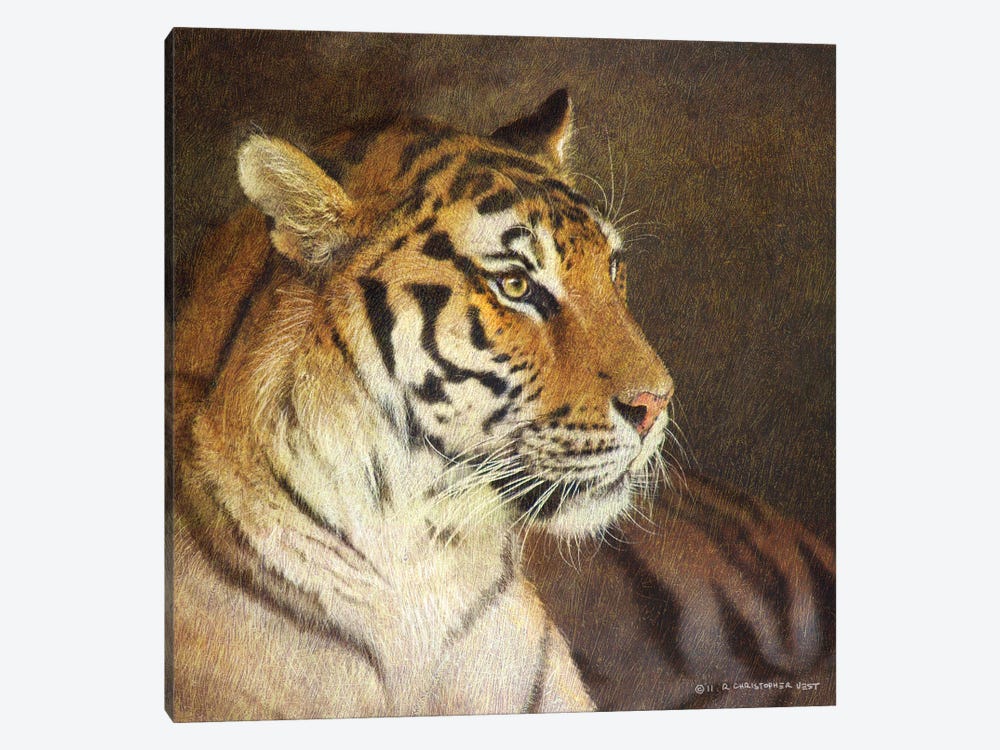 Tiger by Christopher Vest 1-piece Canvas Art Print