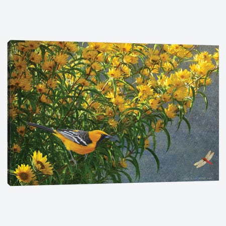 Yellow Flowers Oriole Canvas Print #CHV19} by Christopher Vest Canvas Print