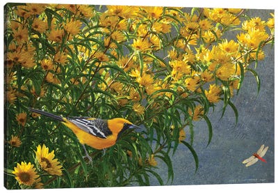 Yellow Flowers Oriole Canvas Art Print