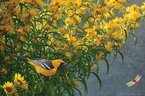 Christopher Vest: Yellow Flowers Oriole by Christopher Vest
