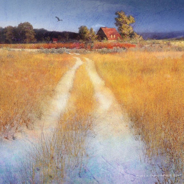 Yellow Road by Christopher Vest wall art