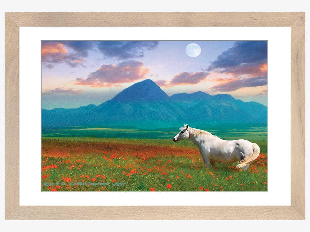  Grass Horse White Pony Cute Canvas Poster Bedroom