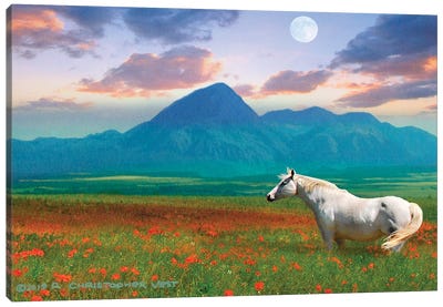 Horse in Flowers II Canvas Art Print