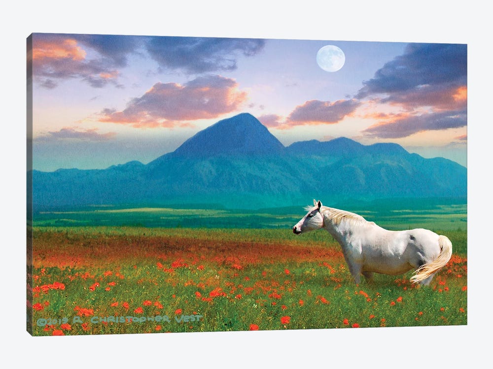 Horse in Flowers II by Christopher Vest 1-piece Canvas Wall Art