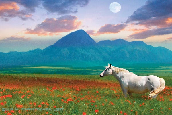 Christopher Vest: Horse in Flowers II by Christopher Vest