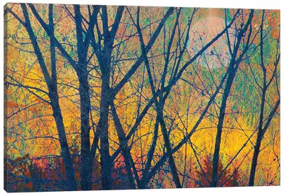 Meadow Trees I Canvas Art Print