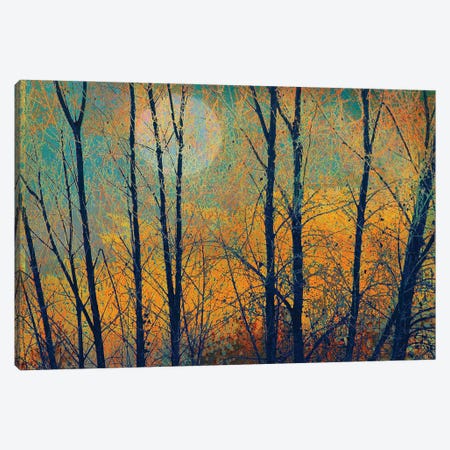 Meadow Trees II Canvas Print #CHV28} by Christopher Vest Canvas Wall Art