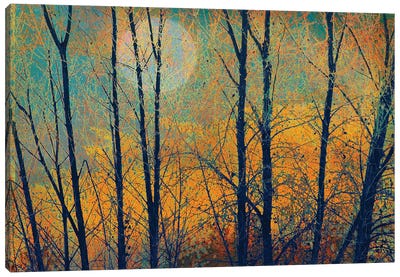 Meadow Trees II Canvas Art Print