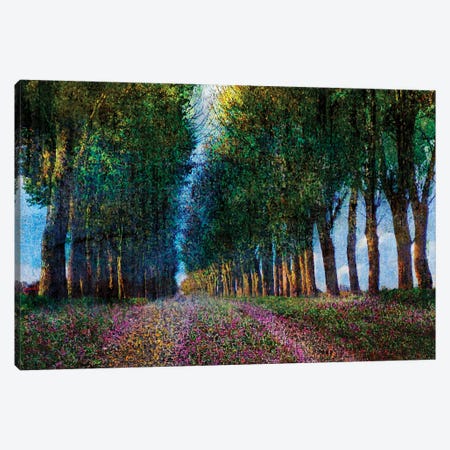 Row of Trees Provence Canvas Print #CHV29} by Christopher Vest Canvas Wall Art
