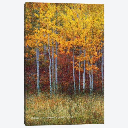 Aspen Forest Autumn Left Canvas Print #CHV30} by Christopher Vest Art Print
