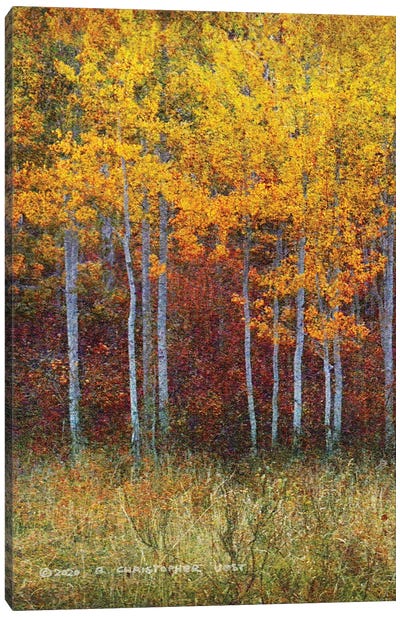 Aspen Forest Autumn Left Canvas Art Print