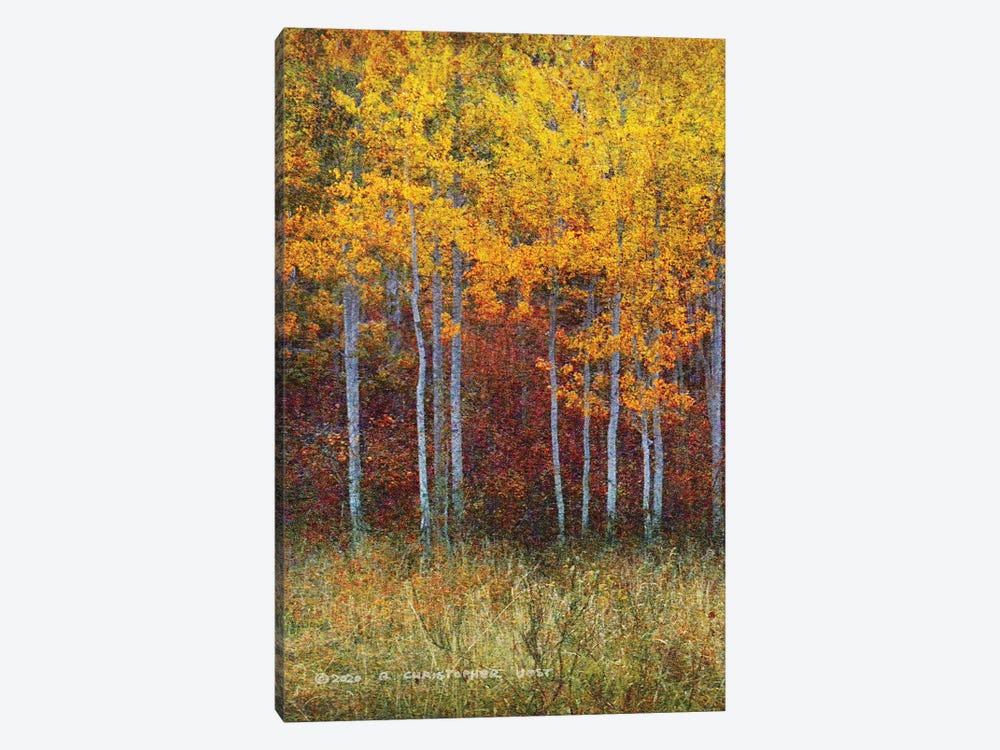 Aspen Forest Autumn Left by Christopher Vest 1-piece Canvas Artwork
