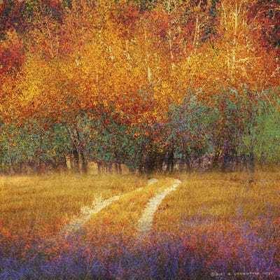 Bright Cottons by Christopher Vest metal wall art