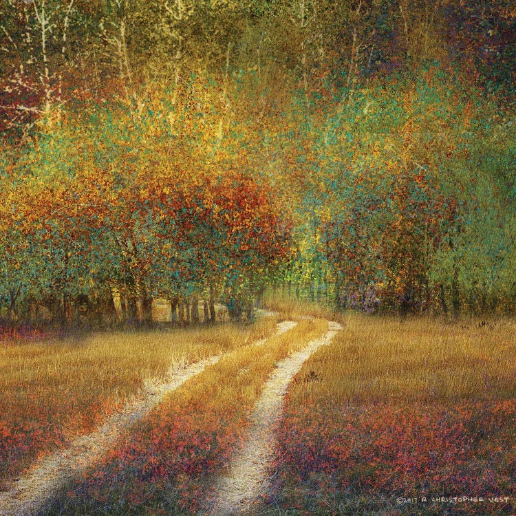 Bright Cottonwoods by Christopher Vest wall art