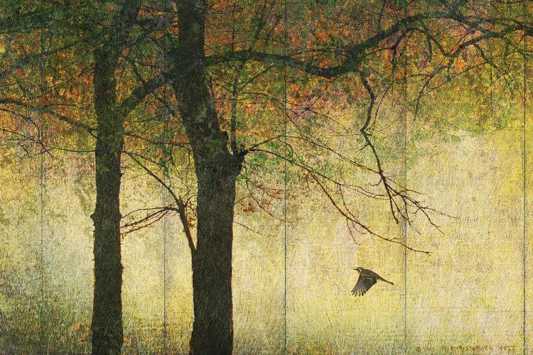 Forest Goldleaf by Christopher Vest wall art