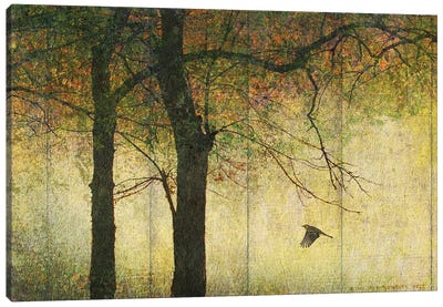 Forest Goldleaf Canvas Art Print