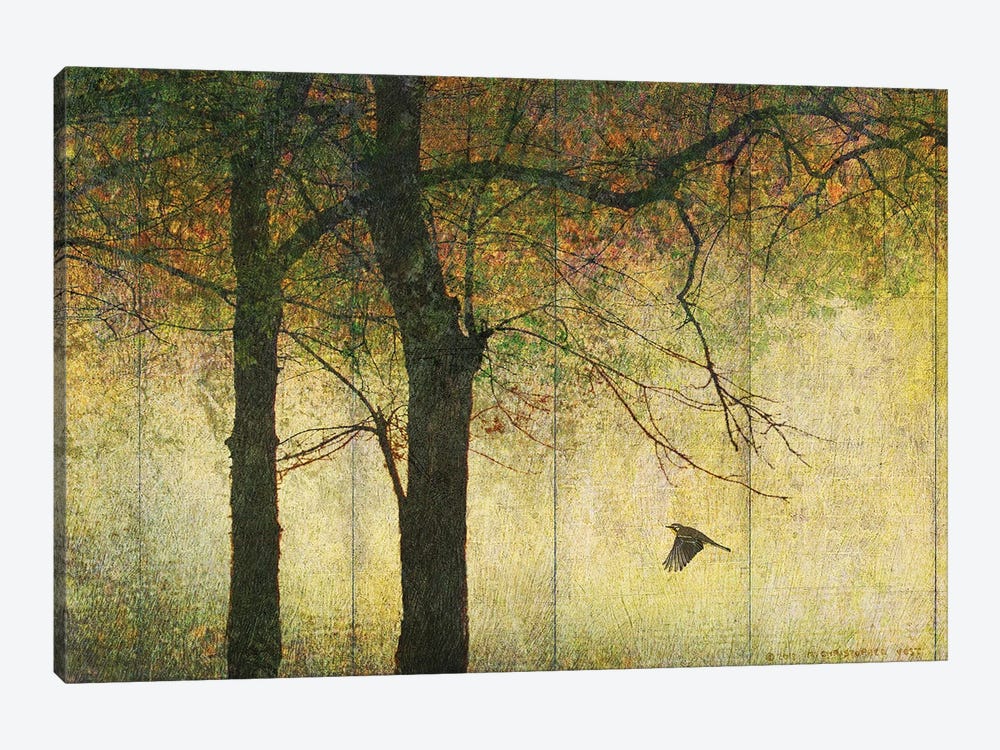 Forest Goldleaf by Christopher Vest 1-piece Canvas Wall Art