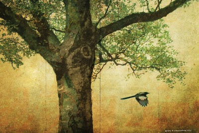 Goldleaf Big Tree by Christopher Vest metal wall art