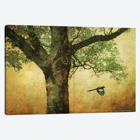 Goldleaf Big Tree Canvas Print #CHV37} by Christopher Vest Canvas Artwork