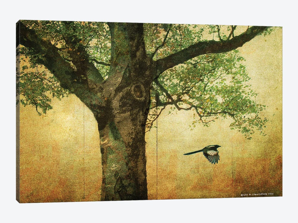 Goldleaf Big Tree by Christopher Vest 1-piece Canvas Print