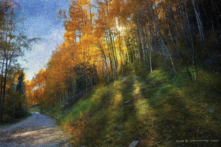 Shadowed Mtn Road by Christopher Vest wall art
