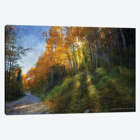 Shadowed Mtn Road Canvas Print #CHV39} by Christopher Vest Canvas Art Print