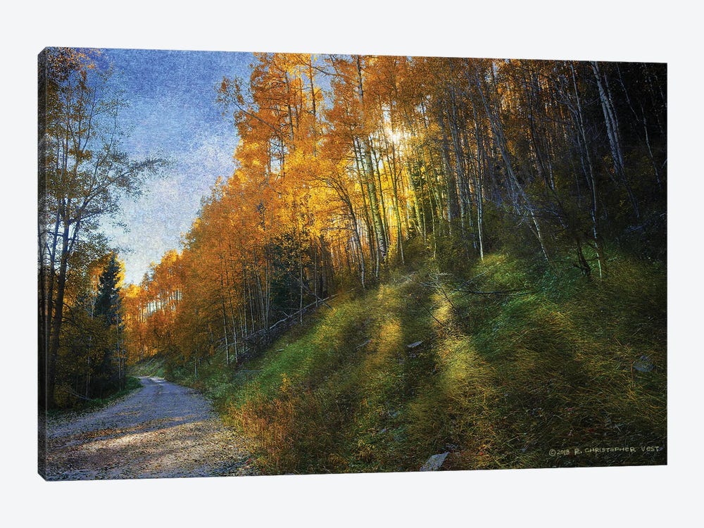 Shadowed Mtn Road by Christopher Vest 1-piece Canvas Art Print