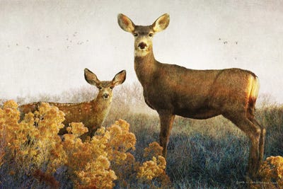 Doe And Fawn by Christopher Vest art print