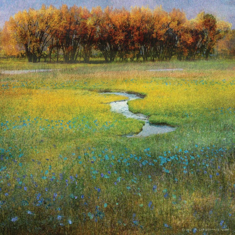 Meadow Flowers I by Christopher Vest wall art