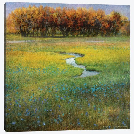 Meadow Flowers I Canvas Print #CHV40} by Christopher Vest Canvas Art