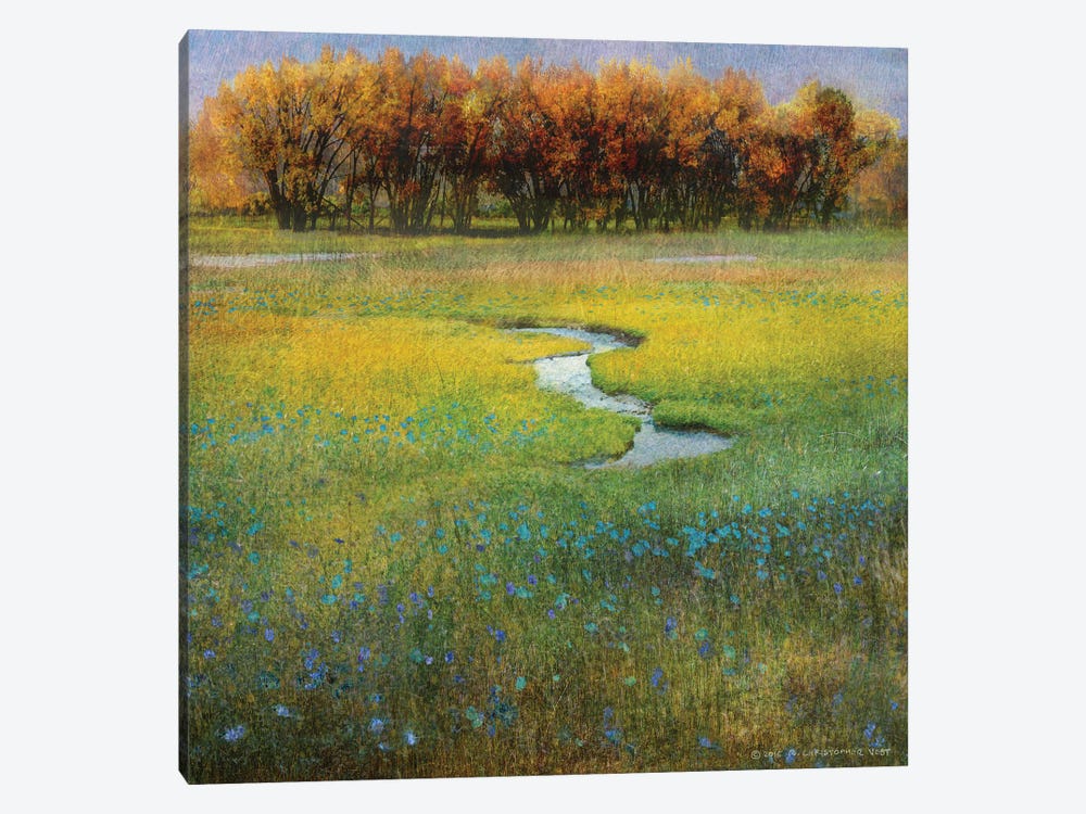 Meadow Flowers I by Christopher Vest 1-piece Canvas Print