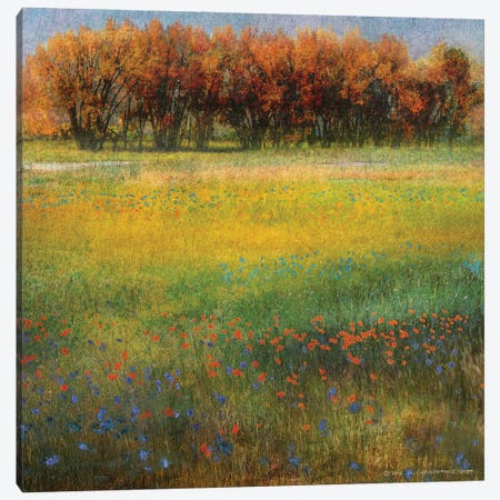 Meadow Flowers II Canvas Print #CHV41} by Christopher Vest Canvas Art