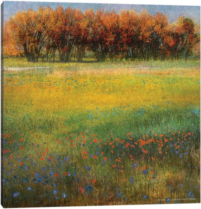 Meadow Flowers II Canvas Art Print