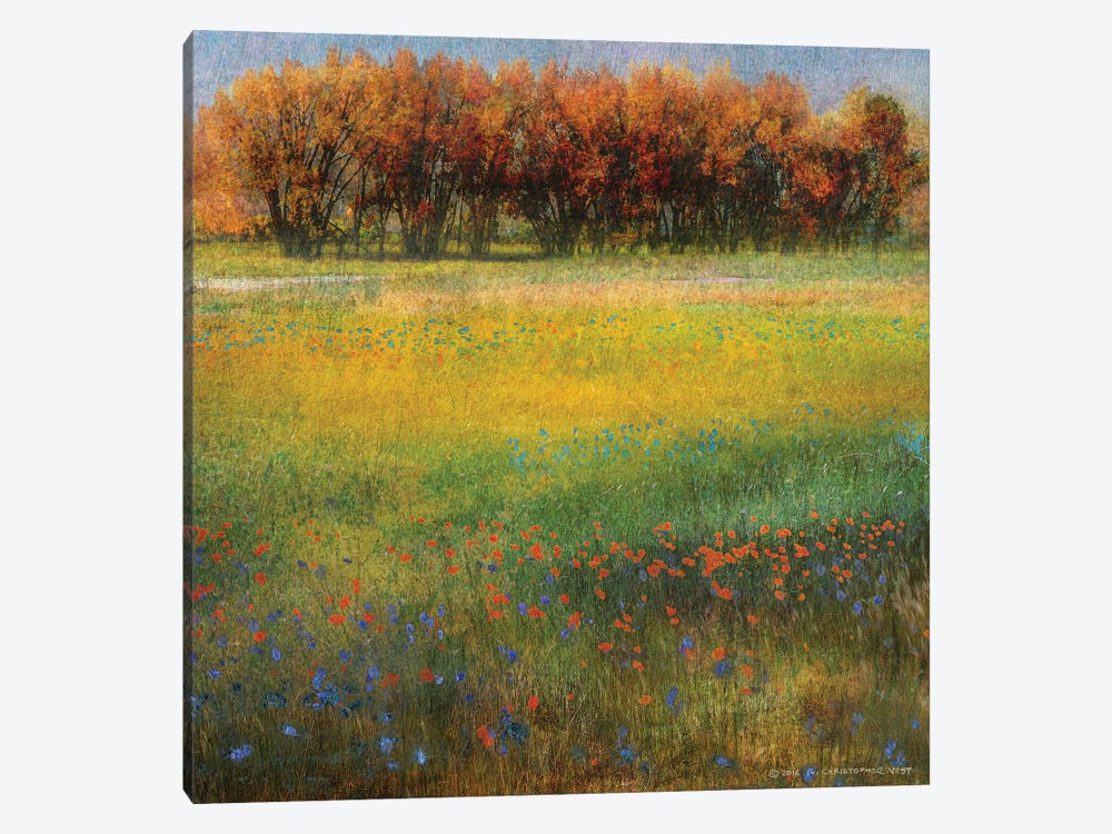 Meadow Flowers II by Christopher Vest 1-piece Canvas Art