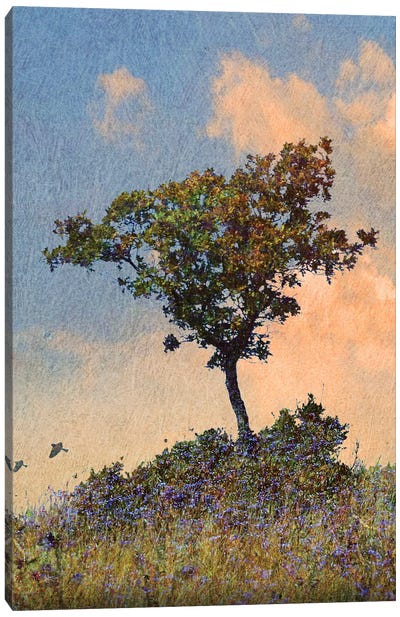 Oak Tree Left Canvas Art Print