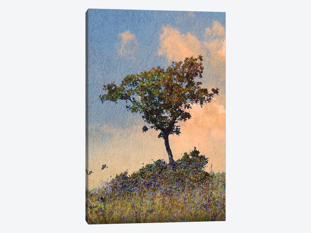 Oak Tree Left by Christopher Vest 1-piece Canvas Art Print