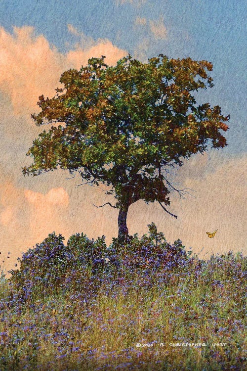 Oak Tree Right by Christopher Vest wall art