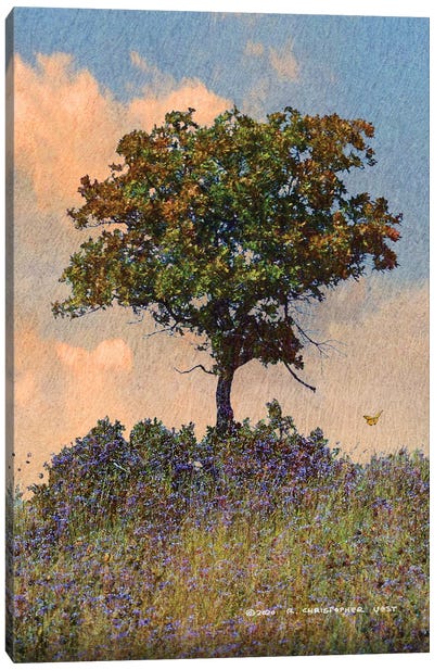 Oak Tree Right Canvas Art Print