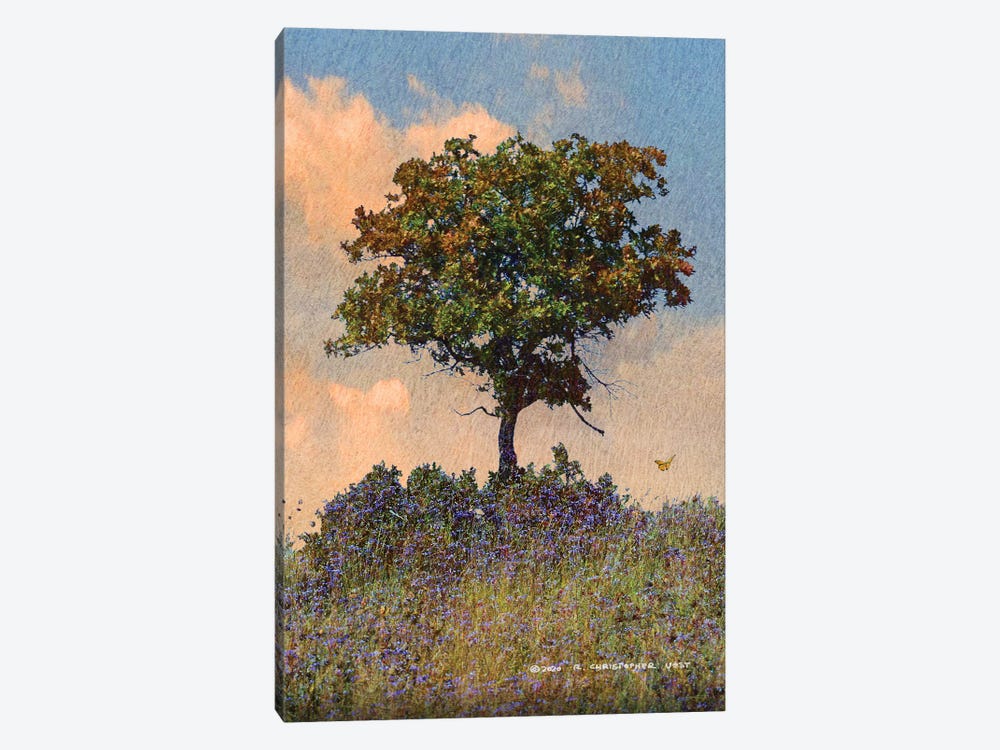 Oak Tree Right by Christopher Vest 1-piece Canvas Art