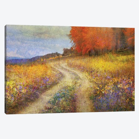 Road By The Lake Canvas Print #CHV44} by Christopher Vest Art Print