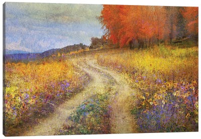 Road By The Lake Canvas Art Print