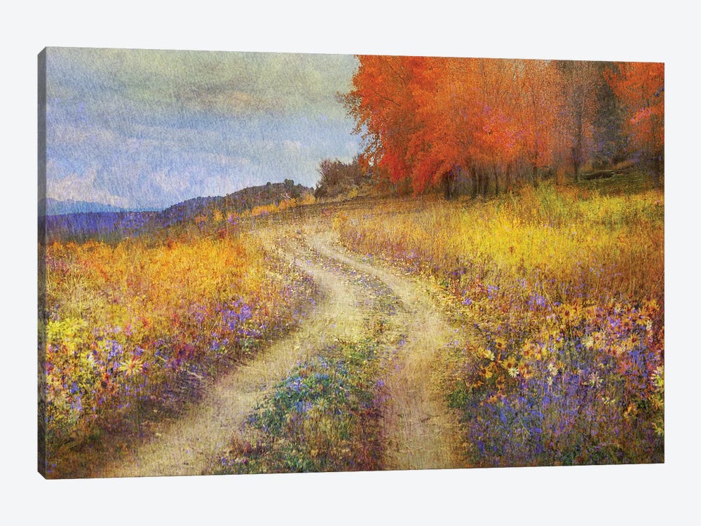 Road By The Lake by Christopher Vest 1-piece Canvas Art Print