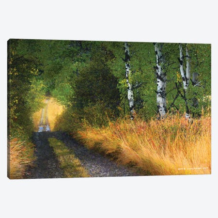 Road Thru The Trees Canvas Print #CHV45} by Christopher Vest Canvas Art Print