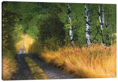 Road Thru The Trees Canvas Art Print