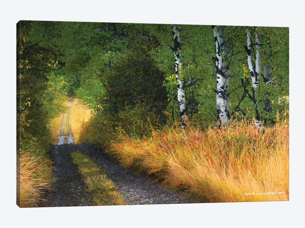 Road Thru The Trees by Christopher Vest 1-piece Canvas Art