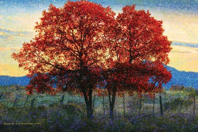 Twin Oaks by Christopher Vest art print
