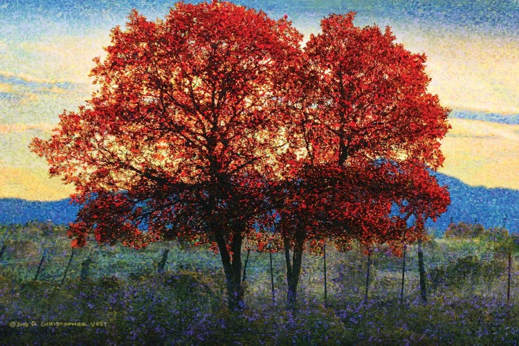 Twin Oaks by Christopher Vest wall art