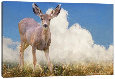In The Meadow I Canvas Art Print